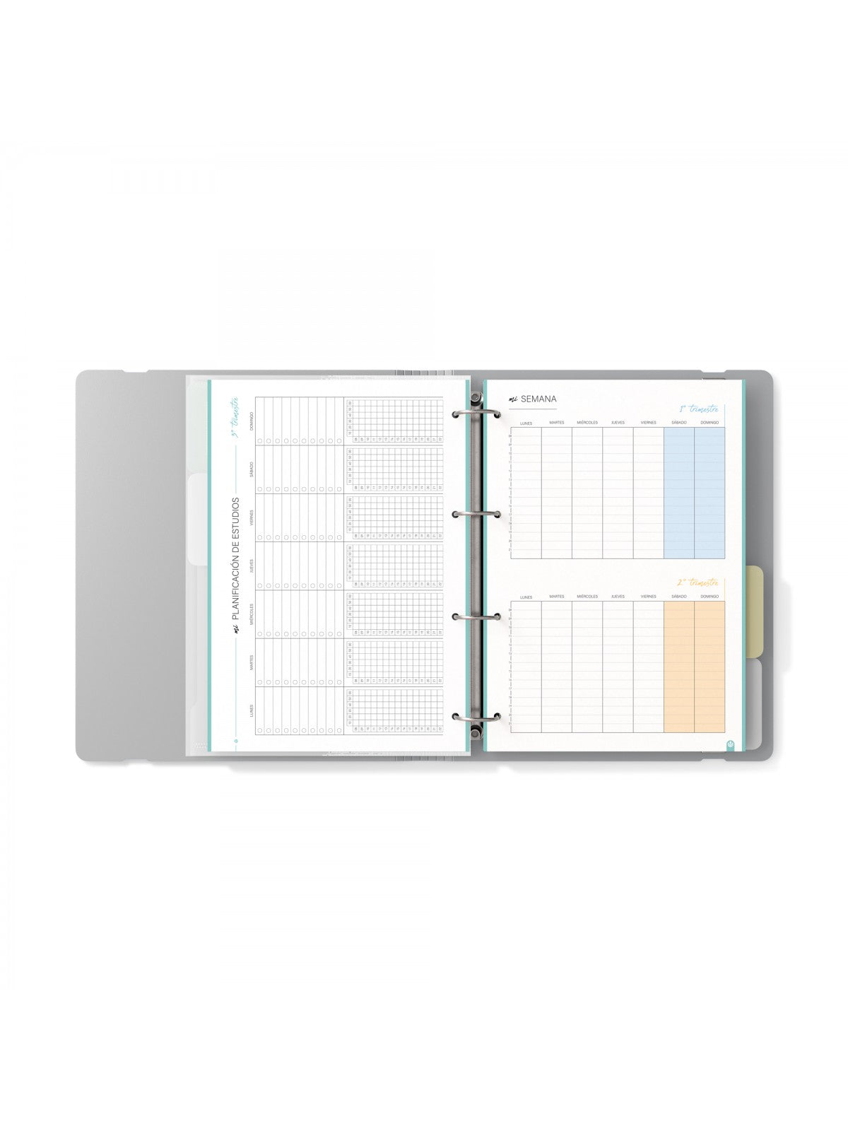 Carpeblock 360º My Rules Grey librerialamota